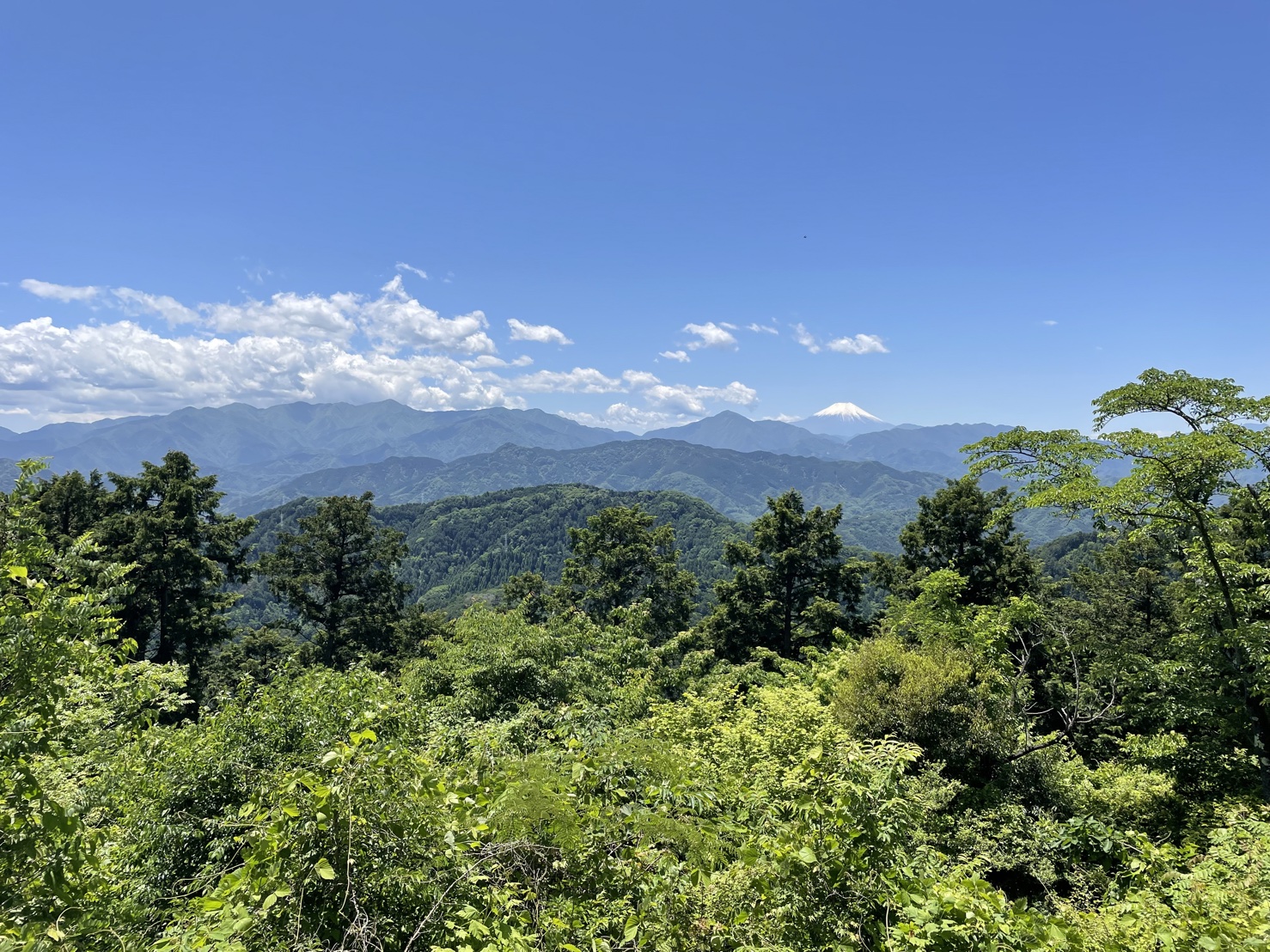 高尾山